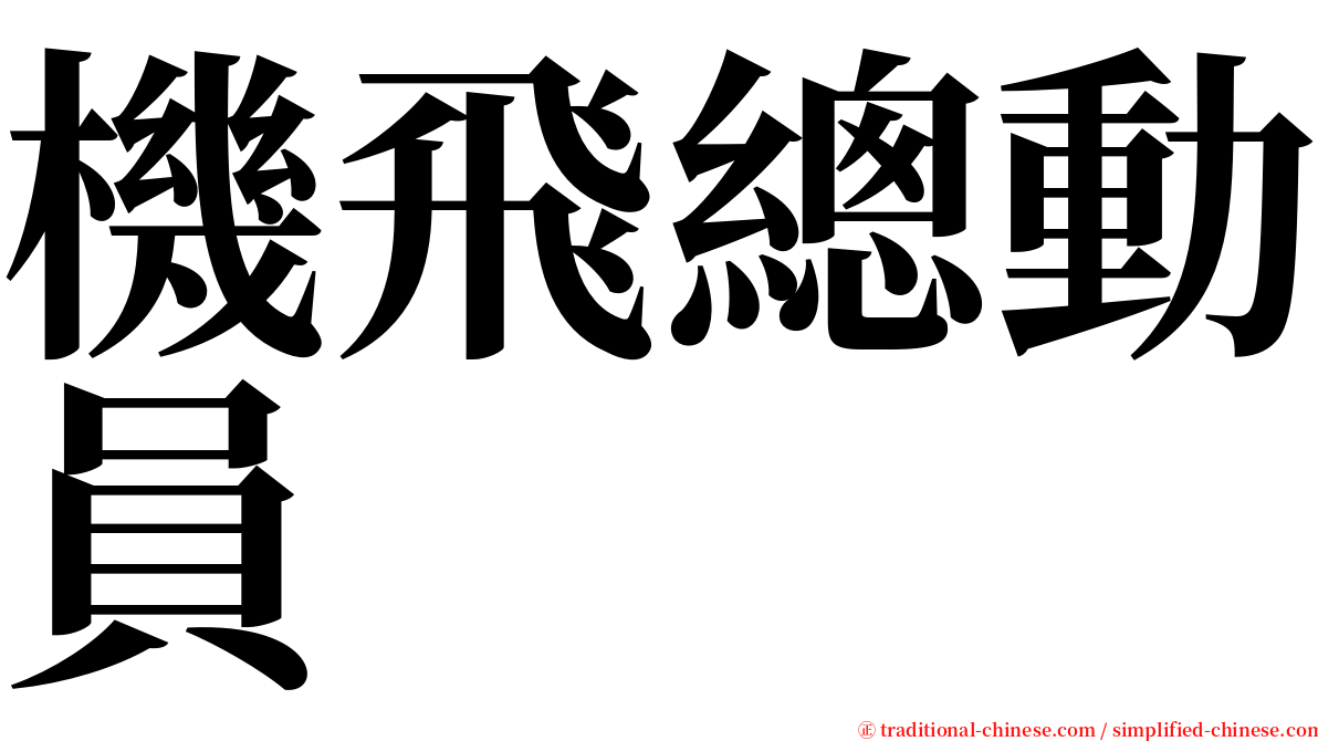 機飛總動員　　 serif font